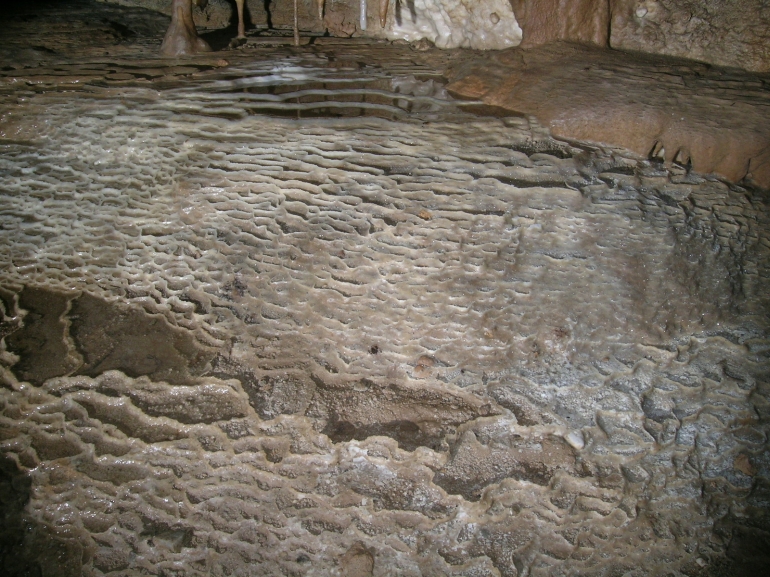 Rimstone in the New Discovery, Surprise Cave