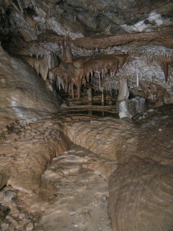 More rimstone, soda straws and stalactites in the New Discovery, Surprise Cave