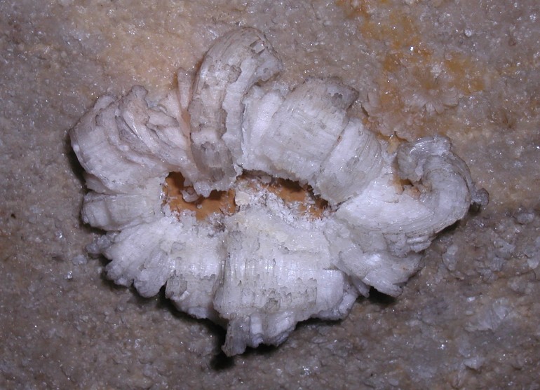 Photo of gypsum in Jugornot Cave.