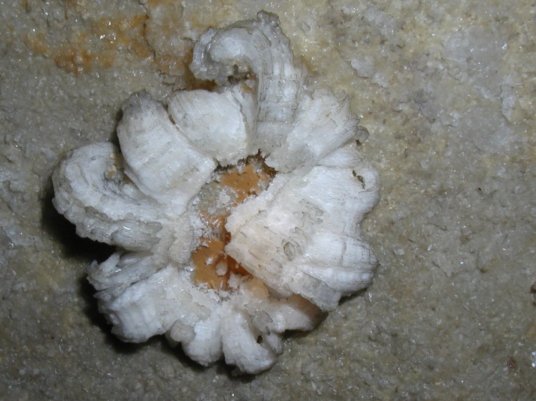 Photo of gypsum in Jugornot Cave.