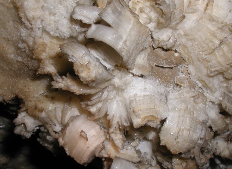 Photo of gypsum in Jugornot Cave.